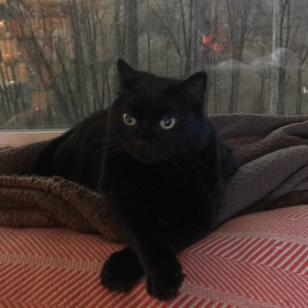 Meet your Posher, KC